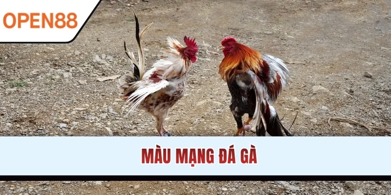mau-mang-da-ga